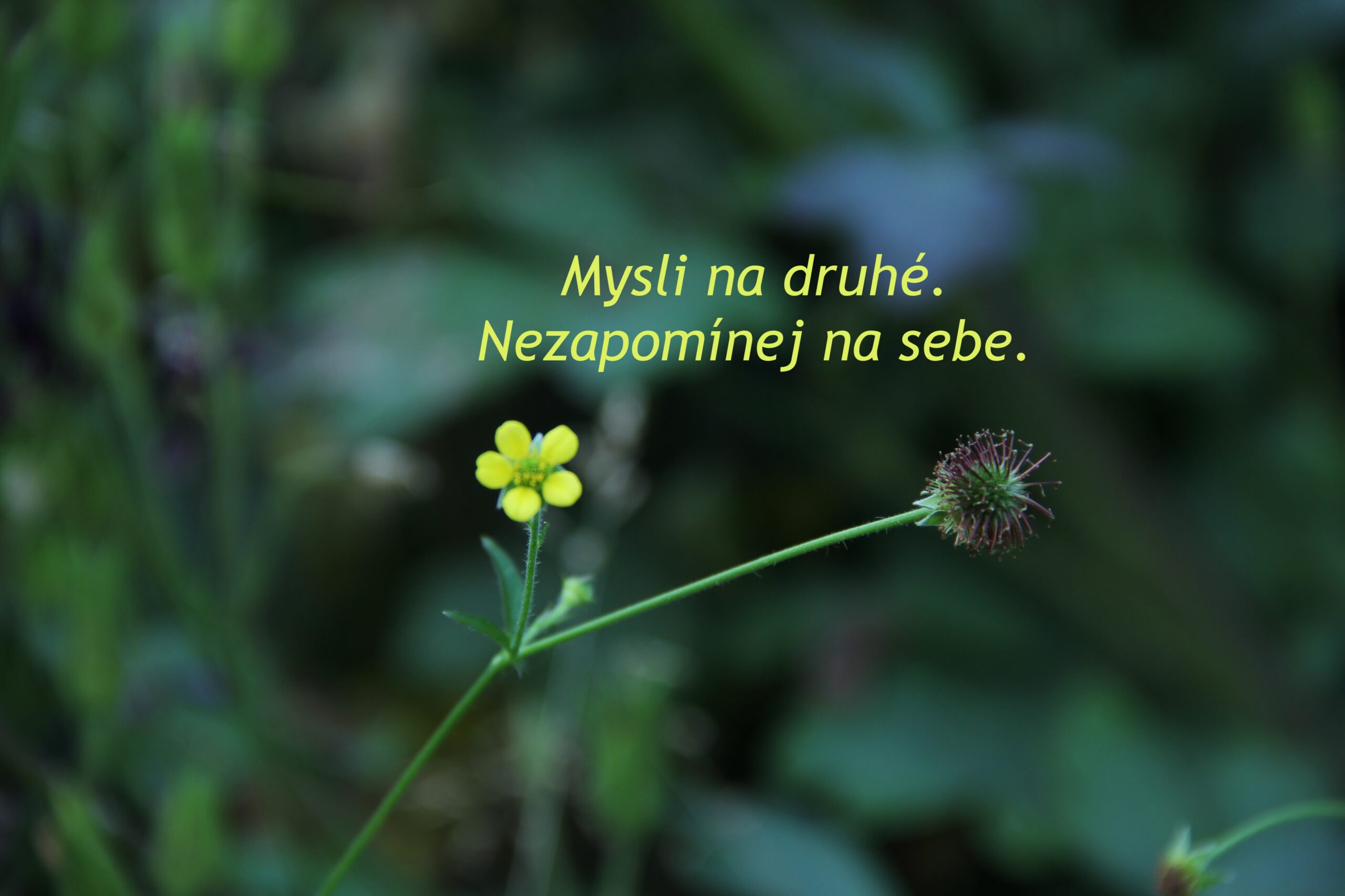 Náš pocit, je to osobní?